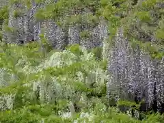 長泉寺の景色