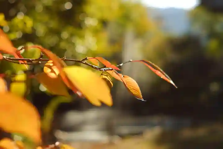 氣比神宮(福井県)