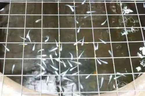 観音寺(福岡県)