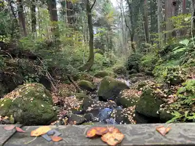 戸隠神社九頭龍社(長野県)