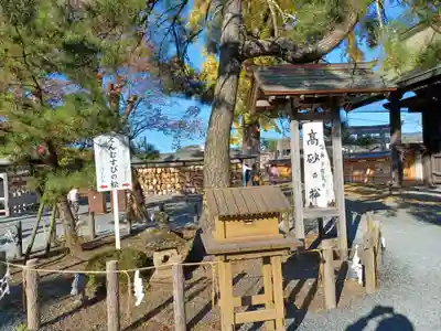 阿蘇神社(熊本県)