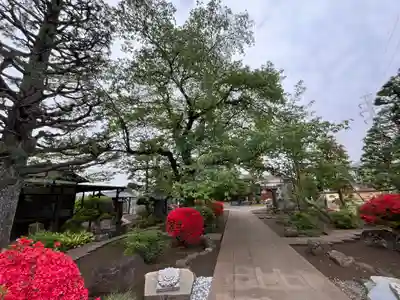 多聞院(東京都)