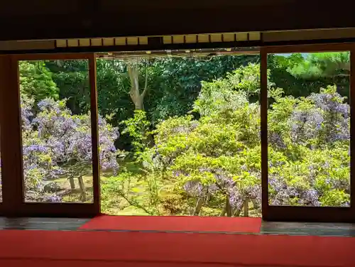 長慶院(京都府)