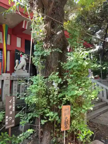 笠䅣稲荷神社(神奈川県)