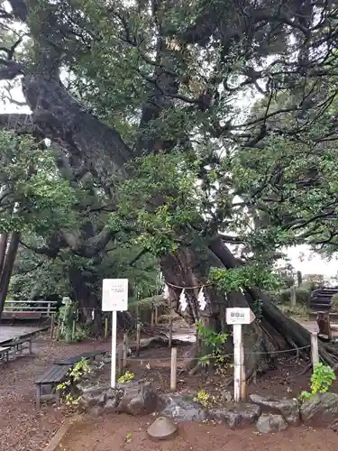 九重神社(埼玉県)