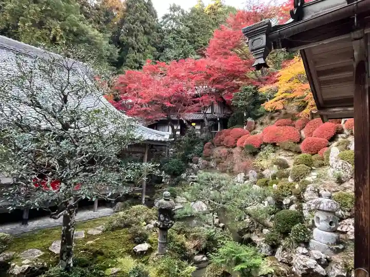 柳谷観音 楊谷寺(京都府)