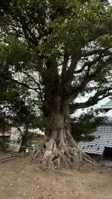 大聖寺(波切不動尊)(千葉県)