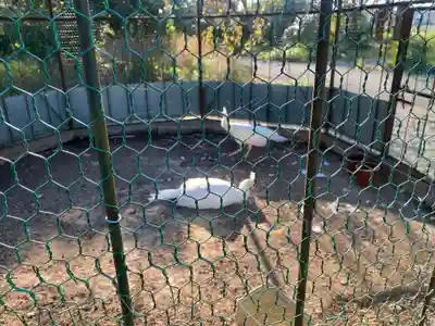 進雄神社(群馬県)