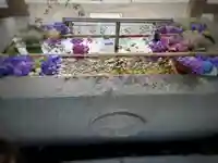 亀田八幡宮の手水舎