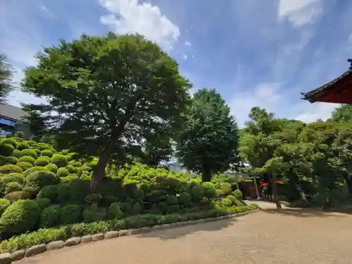 根津神社のその他建物