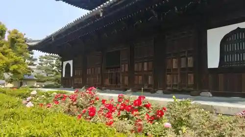 建仁寺（建仁禅寺）の庭園