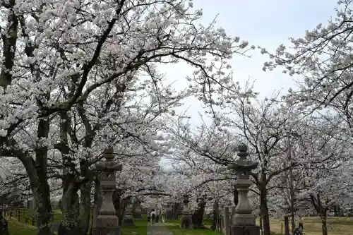 蒼柴神社(新潟県)