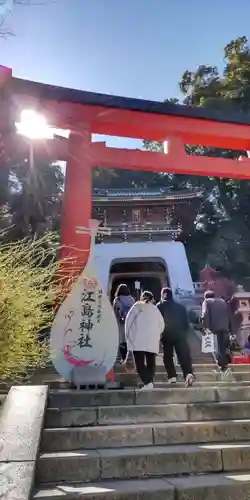 江島神社の鳥居