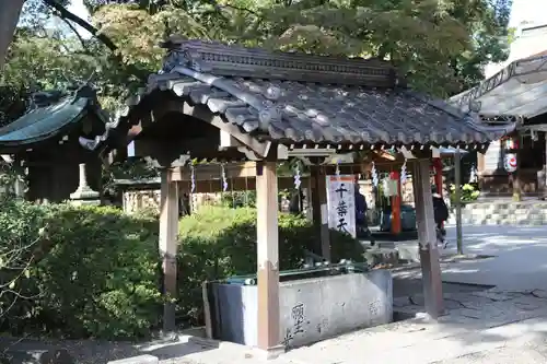 千葉神社の手水舎