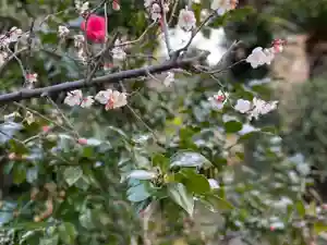 伊勢の国 四天王寺(三重県)(2023年02月15日(水) 10時36分03秒投稿)