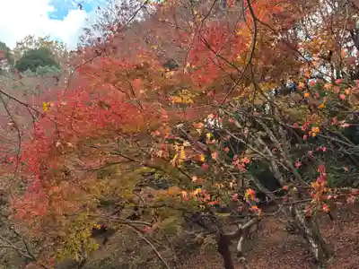延命寺(大阪府)
