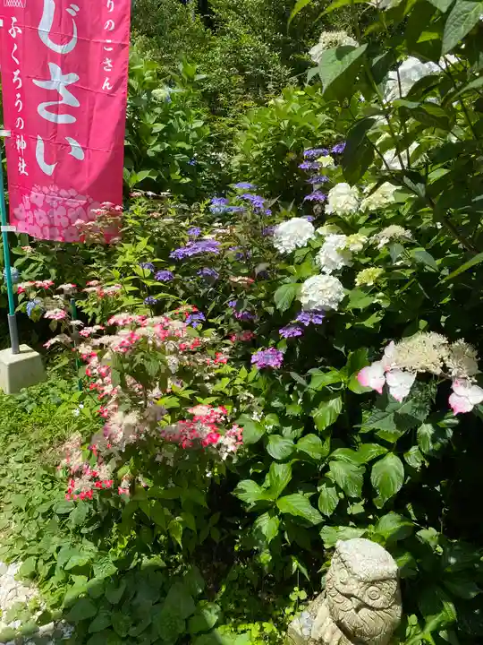 鷲子山上神社の自然