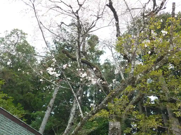 熊野本宮大社(和歌山県)