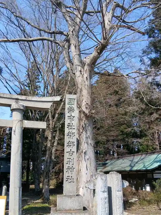 都々古別神社(八槻)の{uncategorized: "未分類", other: "その他", undefined: "問題あり", building: "その他建物", grave: "お墓", sacred_gate: "鳥居", guardian: "狛犬", statue: "像", buddha: "仏像", history: "歴史", nature: "自然", garden: "庭園", animal: "動物", pagoda: "塔", temizu: "手水舎", mountain_gate: "山門・神門", sanctuary: "本殿・本堂", subordinate: "末社・摂社", art: "芸術", scenery: "景色", jizo: "地蔵", ema: "絵馬", goshuin: "御朱印", omikuji: "おみくじ", items: "授与品その他", amulet: "お守り", goshuincho: "御朱印帳", eats: "食事", festival: "お祭り", votive_dance: "神楽", shichigosan: "七五三参", wedding: "結婚式", experience: "体験その他", initially: "初詣", around: "周辺", anti_infection: "感染症対策"}