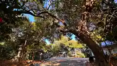 秋留八幡神社(奈良県)