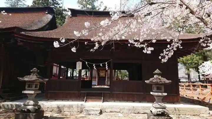 大井俣窪八幡神社の本殿・本堂