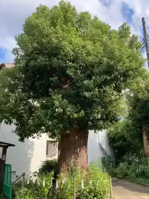 春日神社(神奈川県)