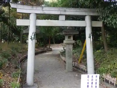 八幡社(柏井町)の鳥居