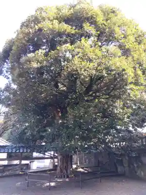 瀬戸菅原神社(石川県)
