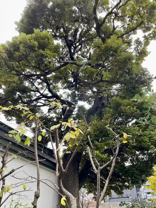 池袋水天宮(東京都)