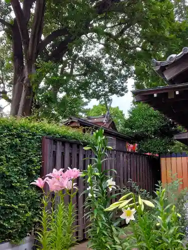 住吉大社(大阪府)