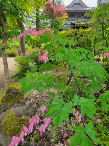 隆国寺(兵庫県)