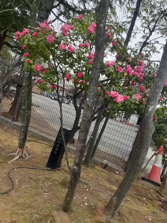 浅草神社(東京都)