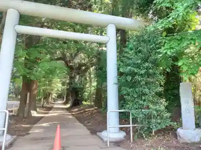 縣神社(千葉県)