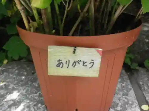 長谷寺の自然