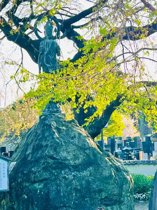 光榮寺の{uncategorized: "未分類", other: "その他", undefined: "問題あり", building: "その他建物", grave: "お墓", sacred_gate: "鳥居", guardian: "狛犬", statue: "像", buddha: "仏像", history: "歴史", nature: "自然", garden: "庭園", animal: "動物", pagoda: "塔", temizu: "手水舎", mountain_gate: "山門・神門", sanctuary: "本殿・本堂", subordinate: "末社・摂社", art: "芸術", scenery: "景色", jizo: "地蔵", ema: "絵馬", goshuin: "御朱印", omikuji: "おみくじ", items: "授与品その他", amulet: "お守り", goshuincho: "御朱印帳", eats: "食事", festival: "お祭り", votive_dance: "神楽", shichigosan: "七五三参", wedding: "結婚式", experience: "体験その他", initially: "初詣", around: "周辺", anti_infection: "感染症対策"}