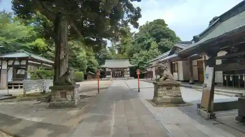 氷川神社(埼玉県)