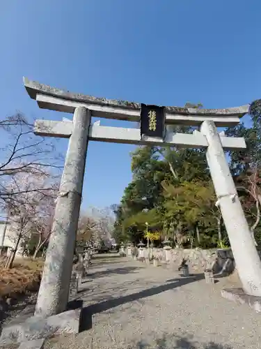 沙沙貴神社の鳥居