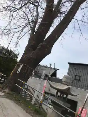 龍宮神社(北海道)