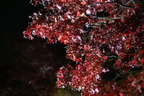 北広島市総鎮守　廣島神社(北海道)