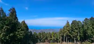 出石寺の{uncategorized: "未分類", other: "その他", undefined: "問題あり", building: "その他建物", grave: "お墓", sacred_gate: "鳥居", guardian: "狛犬", statue: "像", buddha: "仏像", history: "歴史", nature: "自然", garden: "庭園", animal: "動物", pagoda: "塔", temizu: "手水舎", mountain_gate: "山門・神門", sanctuary: "本殿・本堂", subordinate: "末社・摂社", art: "芸術", scenery: "景色", jizo: "地蔵", ema: "絵馬", goshuin: "御朱印", omikuji: "おみくじ", items: "授与品その他", amulet: "お守り", goshuincho: "御朱印帳", eats: "食事", festival: "お祭り", votive_dance: "神楽", shichigosan: "七五三参", wedding: "結婚式", experience: "体験その他", initially: "初詣", around: "周辺", anti_infection: "感染症対策"}