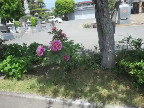 釈迦尊寺(群馬県)