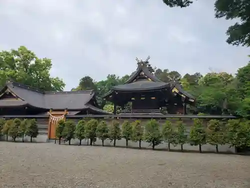 鷲宮神社(埼玉県)