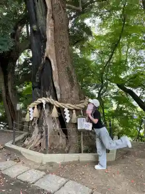 常陸國總社宮(茨城県)
