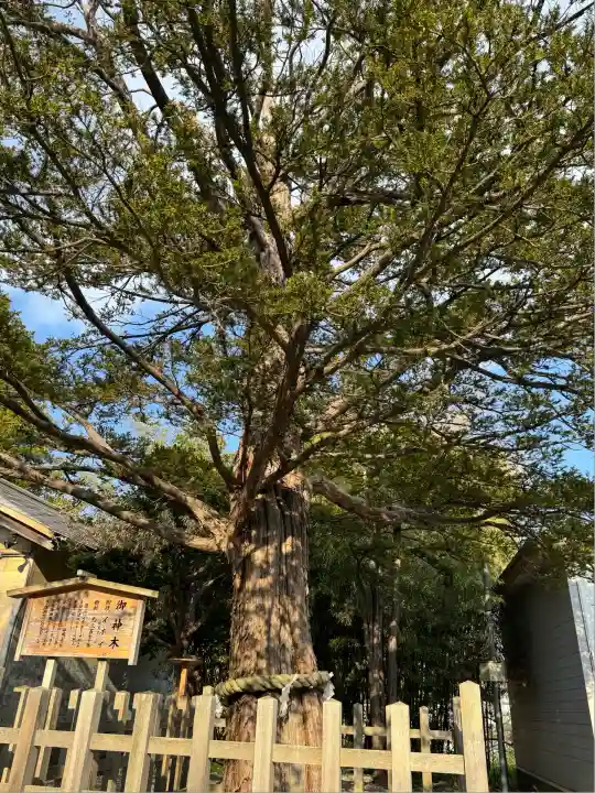 湯倉神社(北海道)