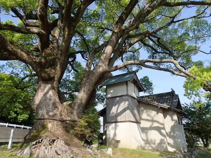 速雨神社の自然