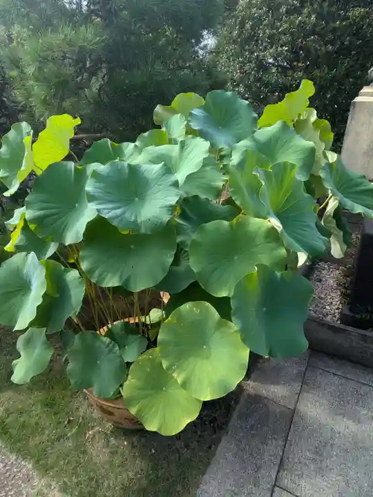 天王寺(東京都)