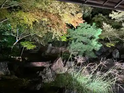 圓徳院(京都府)