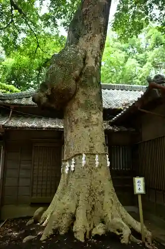 氷川女體神社(埼玉県)