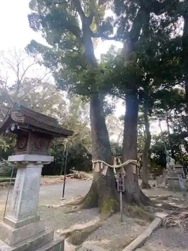 男神社の自然