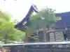 秩父神社(埼玉県)